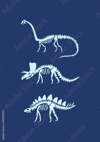 Dinosaur bones  on dark blue  background. Funny Vector illustration Dino skeleton in Scandinavian style. Childish design for  wall print, cards. © Anna Eshka