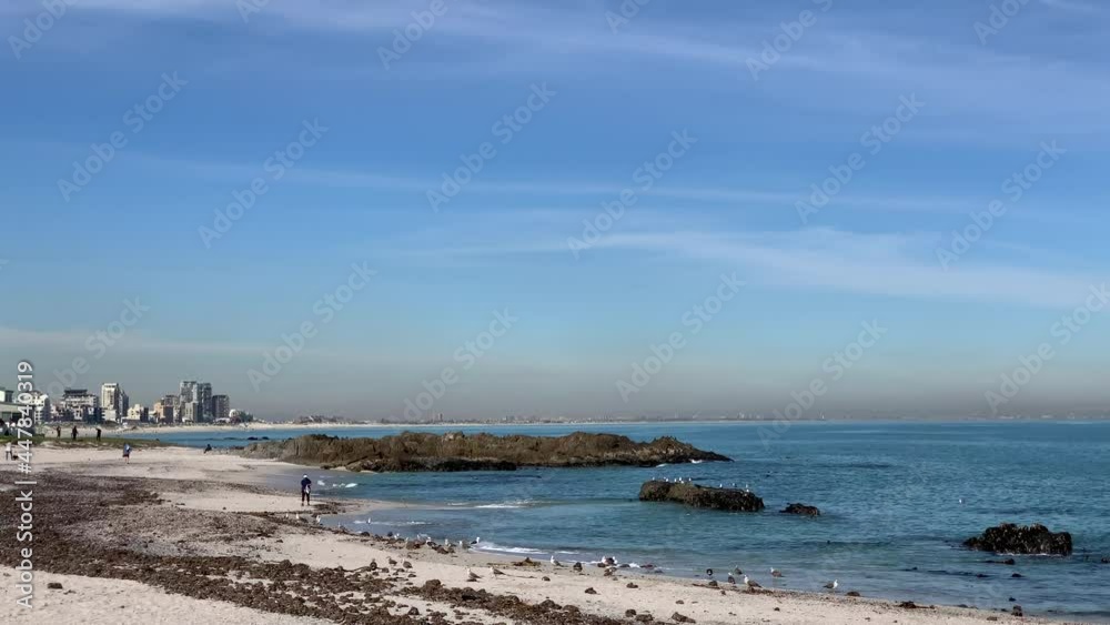 People and seagulls on Big Bay beach with high rise beach apartments Bloubergstrand People and seagulls on Big Bay beach with high rise beach apartments Bloubergstrand