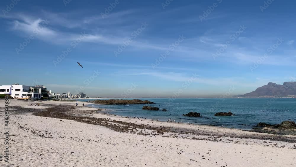 People walking on Big Bay white sandy beach flying seagulls blue sea water beach apartments and Devil's Peak in the background People walking on Big Bay white sandy beach flying seagulls blue sea water beach apartments and Devil's Peak in the background