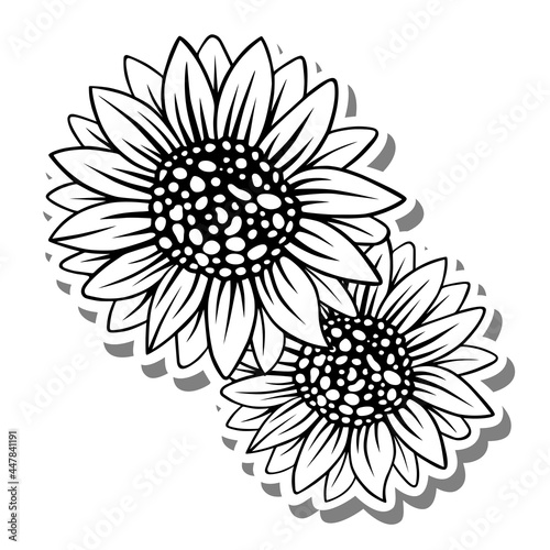 Fototapeta Naklejka Na Ścianę i Meble -  Black line two sunflowers on white silhouette and gray shadow. Vector illustration for decorate logo, text, greeting cards and any design.