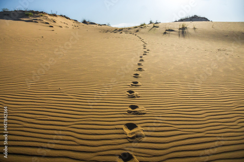 footprints in the sand