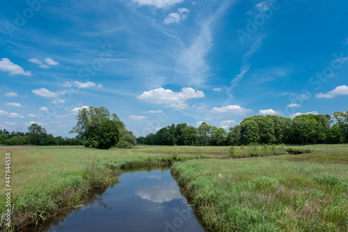 Dutch meadow panoramic landscape with traditional water canals. Pastures of green juicy grass. Netherlands.