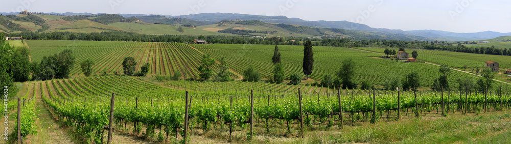 Hügellandschaft mit Weinanbau in der Toskana, Italien, Europa, Panorama