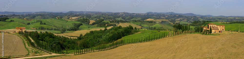 Hügellandschaft mit Zypressen-Allee in der Toskana, Italien, Europa, Panorama