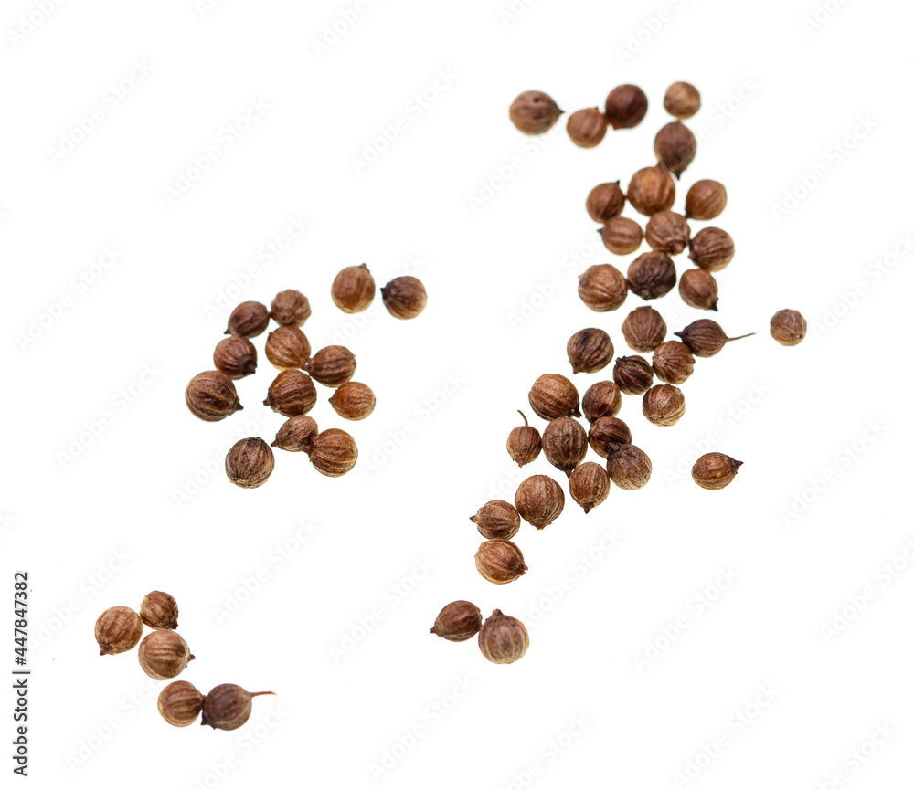 coriander seeds on white background