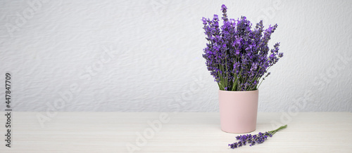 Fresh natural lavender in a pink cup against a white wall background. Side view, copy space, banner.