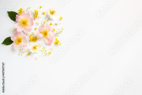 Floral creative layout on a white background. Flat lay, top view. Beautiful floral pattern in pastel colors