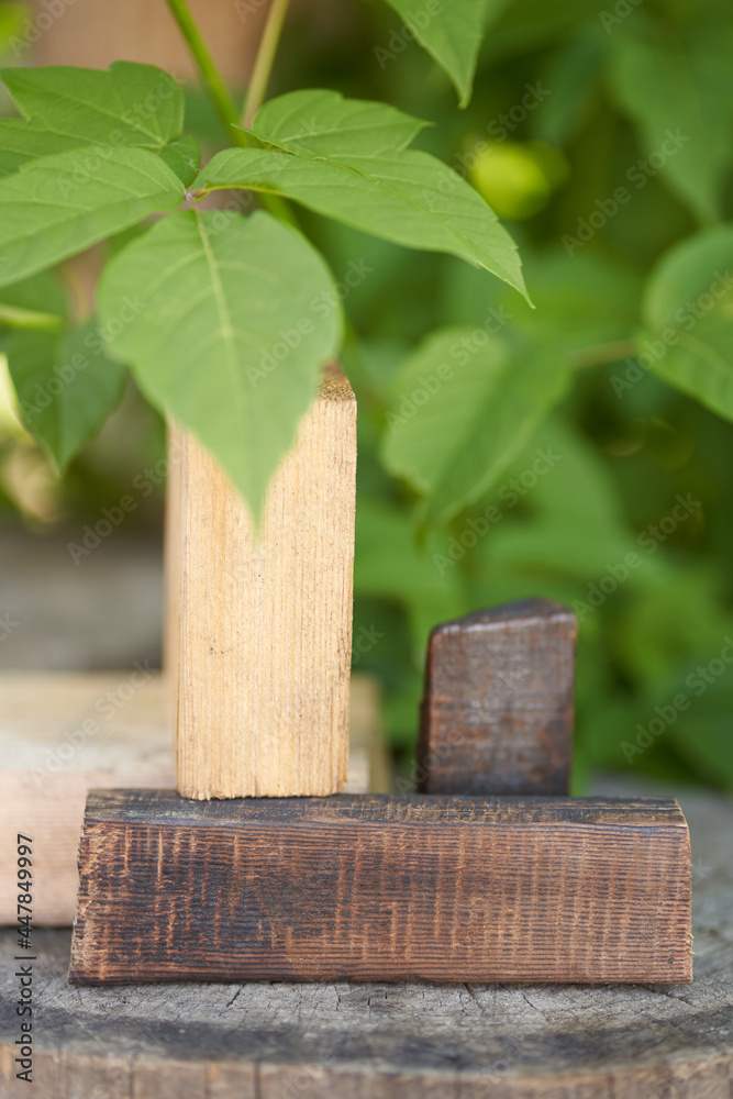 Wooden podium on a green background. Flat vertical square stands or podium for a natural design concept. Central composition, front view. High quality photo Wooden podium on a green background. Flat vertical square stands or podium for a natural design concept. Central composition, front view. High quality photo