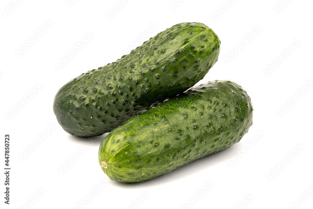 cucumber vegetable isolated on white background cucumber vegetable isolated on white background