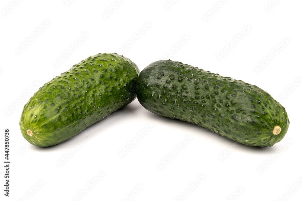 cucumber vegetable isolated on white background cucumber vegetable isolated on white background
