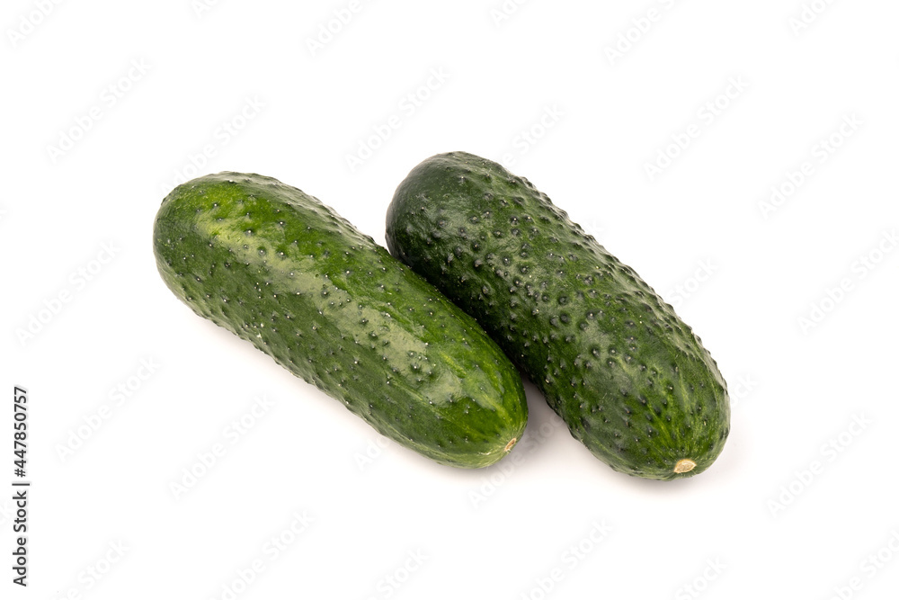 cucumber vegetable isolated on white background cucumber vegetable isolated on white background