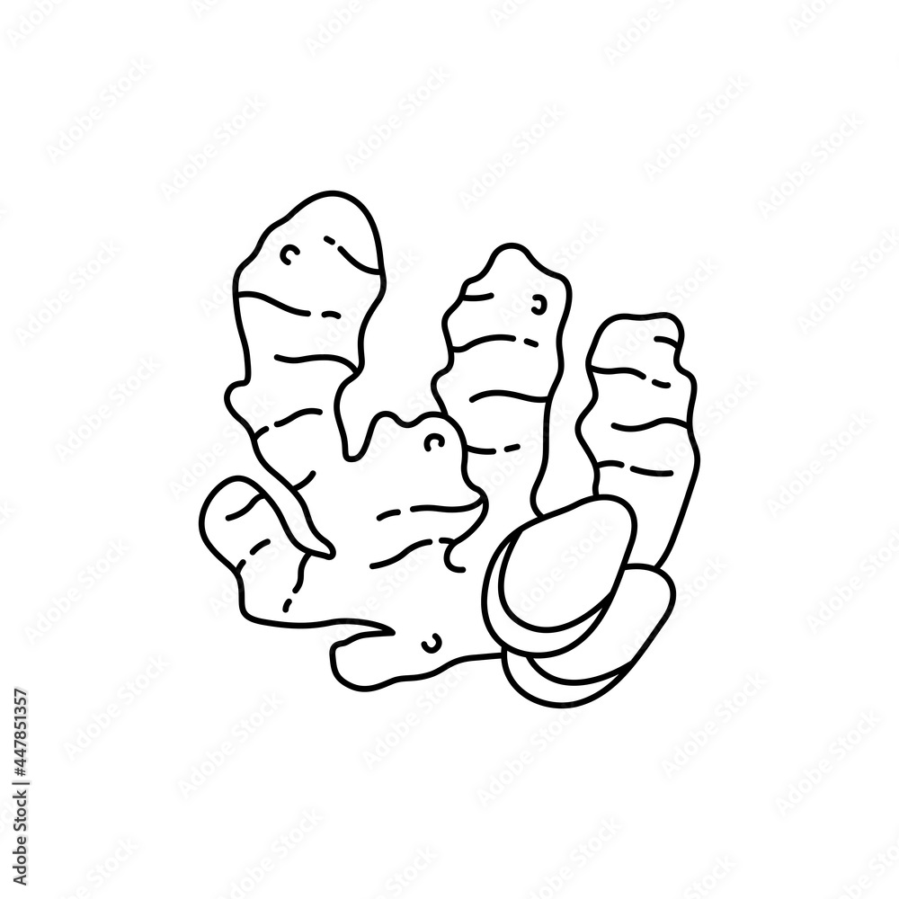 Ginger root olor line icon. Essential oils fruit seeds. Ginger root olor line icon. Essential oils fruit seeds.