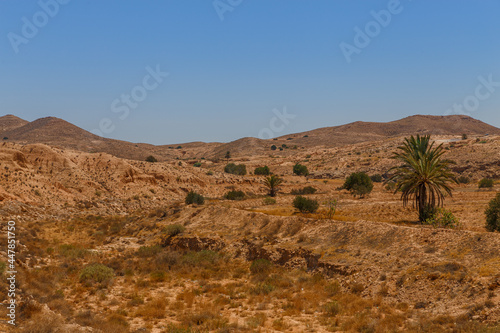 Hills and rocks of the Atlas mountains with some greens