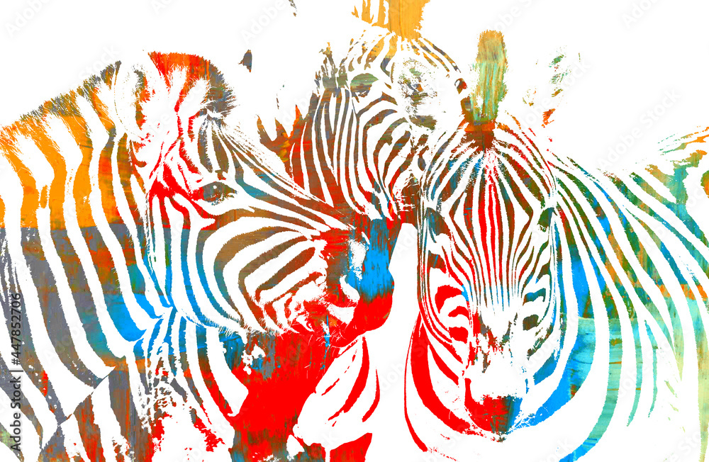 Fototapeta premium colorful close up of a Group of Zebras abstract