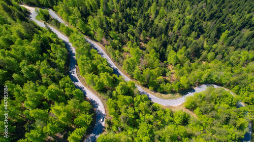 AERIAL: Flying above a switchback road running across an idyllic green forest.