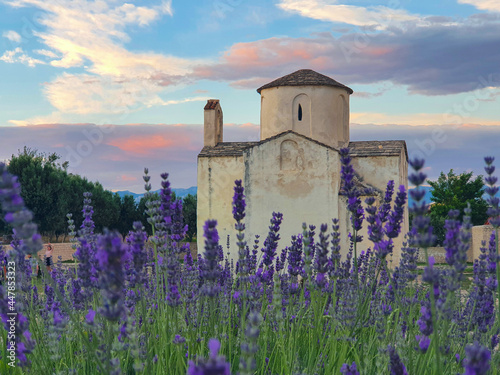 Photography LOW ANGLE Fragrant lavender field leads up to an ancient Roman church in Croatia