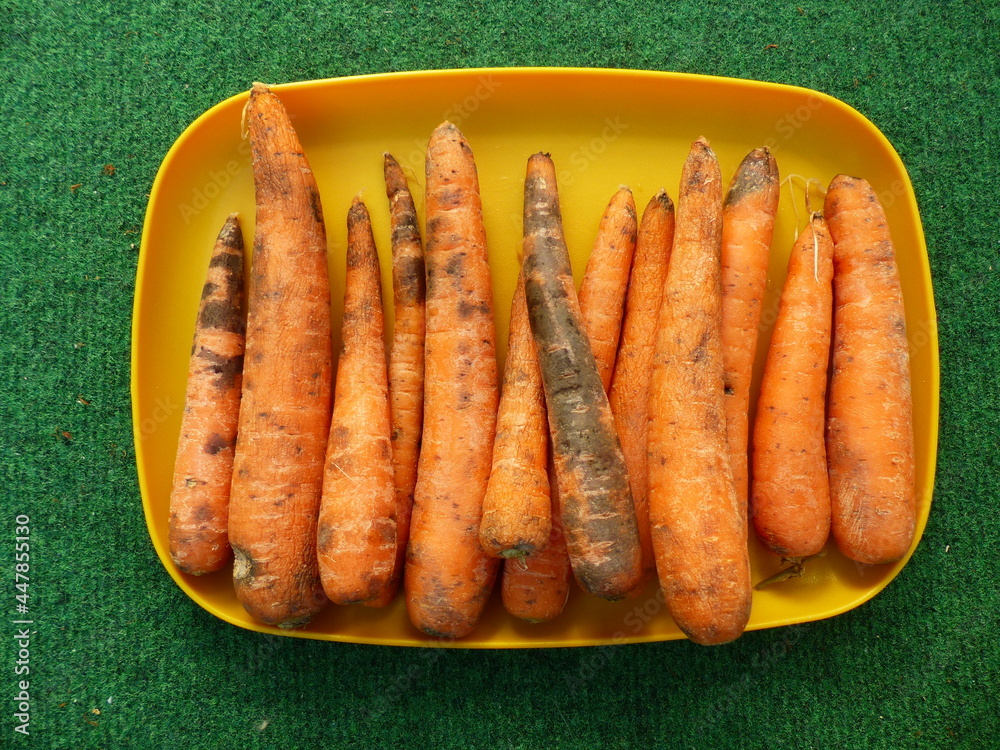Despite adequate storage in the vegetable compartment of the refrigerator, these carrots looked so unsavory after 3 days, full of mold. Despite adequate storage in the vegetable compartment of the refrigerator, these carrots looked so unsavory after 3 days, full of mold.