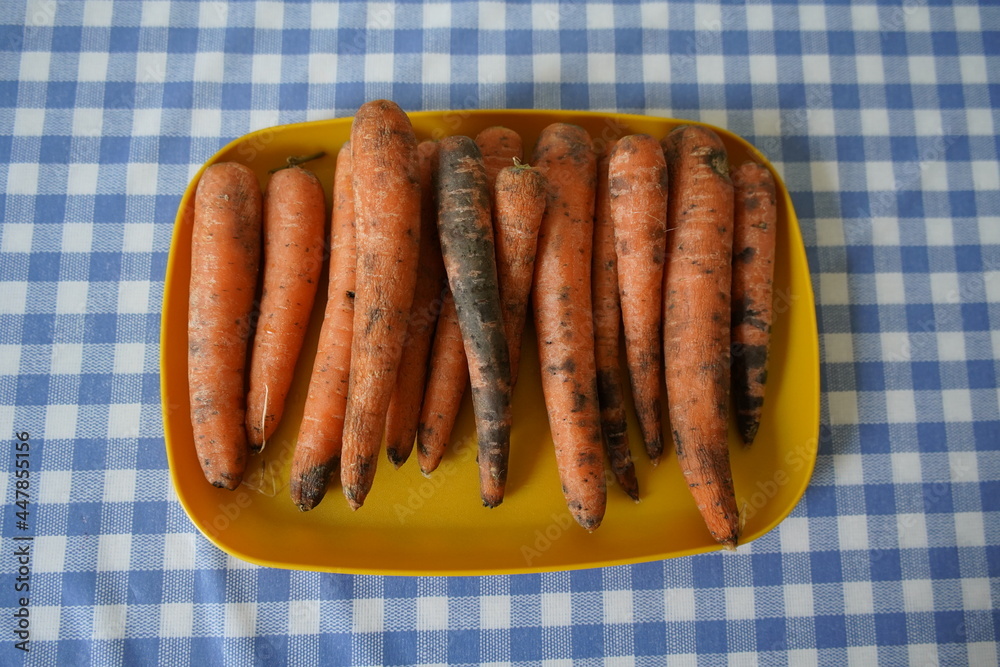 Despite adequate storage in the vegetable compartment of the refrigerator, these carrots looked