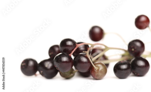 Elderberries, elder berries pile, isolated on white background