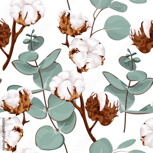 Seamless pattern with cotton flowers and eucalyptus branches. Botanical vector illustration on a white background.