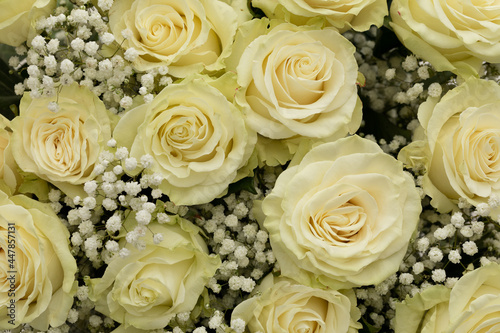 Beautiful romantic bouquet of white roses. Top view of roses.