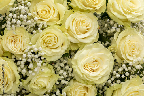 Beautiful romantic bouquet of white roses. Top view of roses.