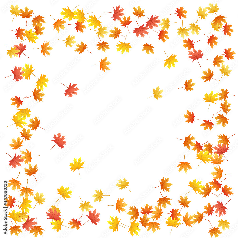 Maple leaves vector background, autumn foliage on white graphic design.