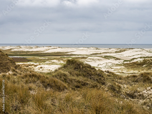 Sand dune landscape called Ladder to heaven on the island of Amrum  Germany.