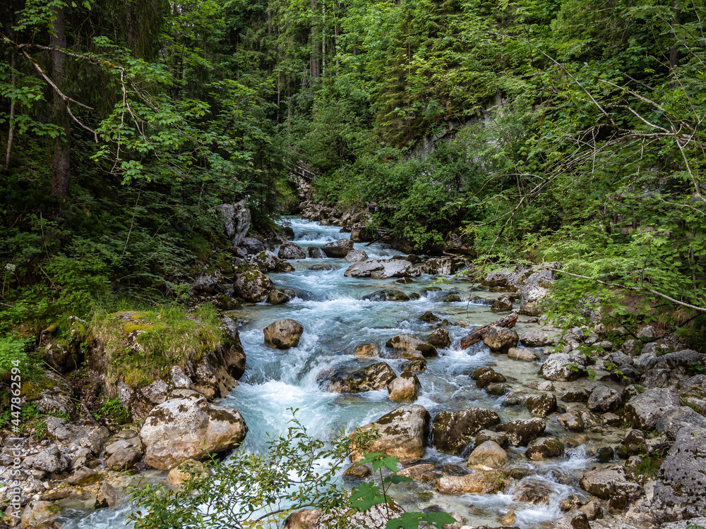 Magic Forest Zauberwald at Lake Hintersee with Creek Ramsauer Ache. National Park Berchtesgadener Land, Germany Magic Forest Zauberwald at Lake Hintersee with Creek Ramsauer Ache. National Park Berchtesgadener Land, Germany