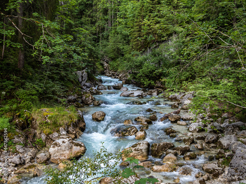 Magic Forest Zauberwald at Lake Hintersee with Creek Ramsauer Ache. National Park Berchtesgadener Land, Germany