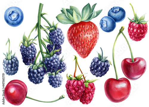 Watercolor Berries, isolated white background. Natural organic raspberry, strawberry, blackberry, blueberry and cherry