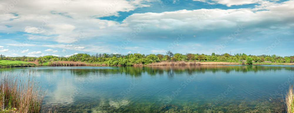 A beautiful pond in a forested area with aquatic plants and trees on the shore under
  cloudy summer sky with white clouds 
