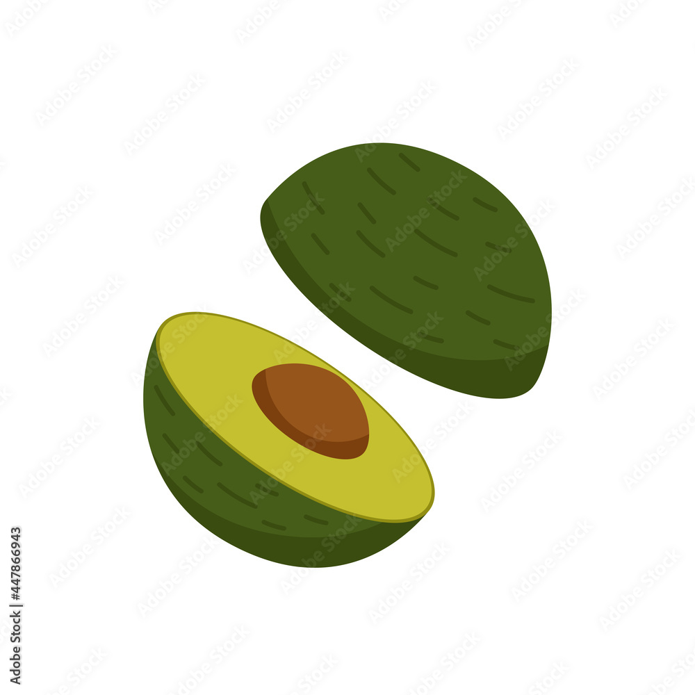 Avocado vector. Avocado on white background. Avocado vector. Avocado on white background.