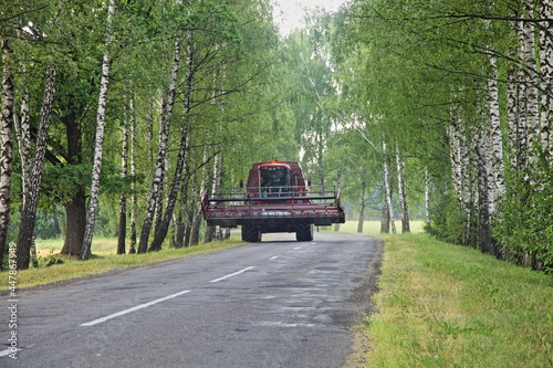 Harvester combine drive on beautiful rustic asphalt road between the Birch trees alley in the village at summer day - harvesting, agriculture, farming in East Europe