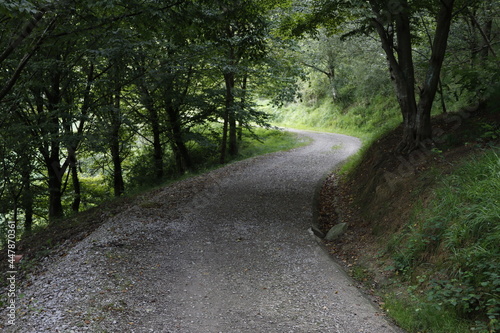 Path in the woods in Basque Country
