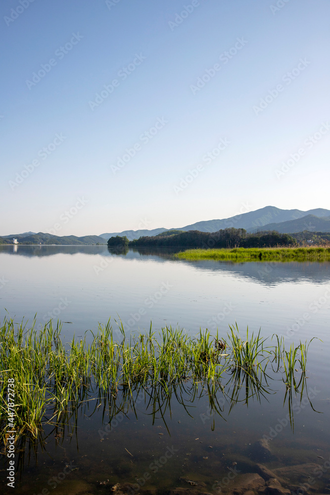 Fototapeta premium 두물머리 반영