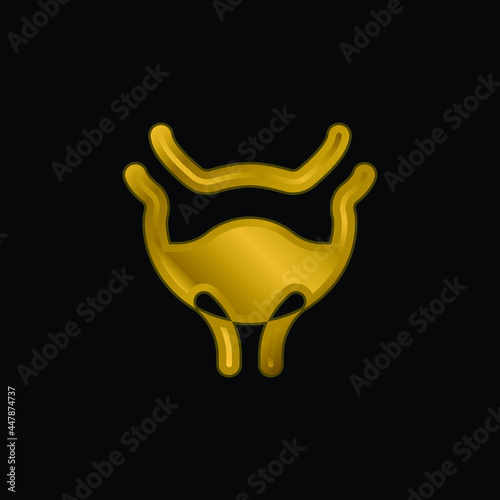 Bladder gold plated metalic icon or logo vector