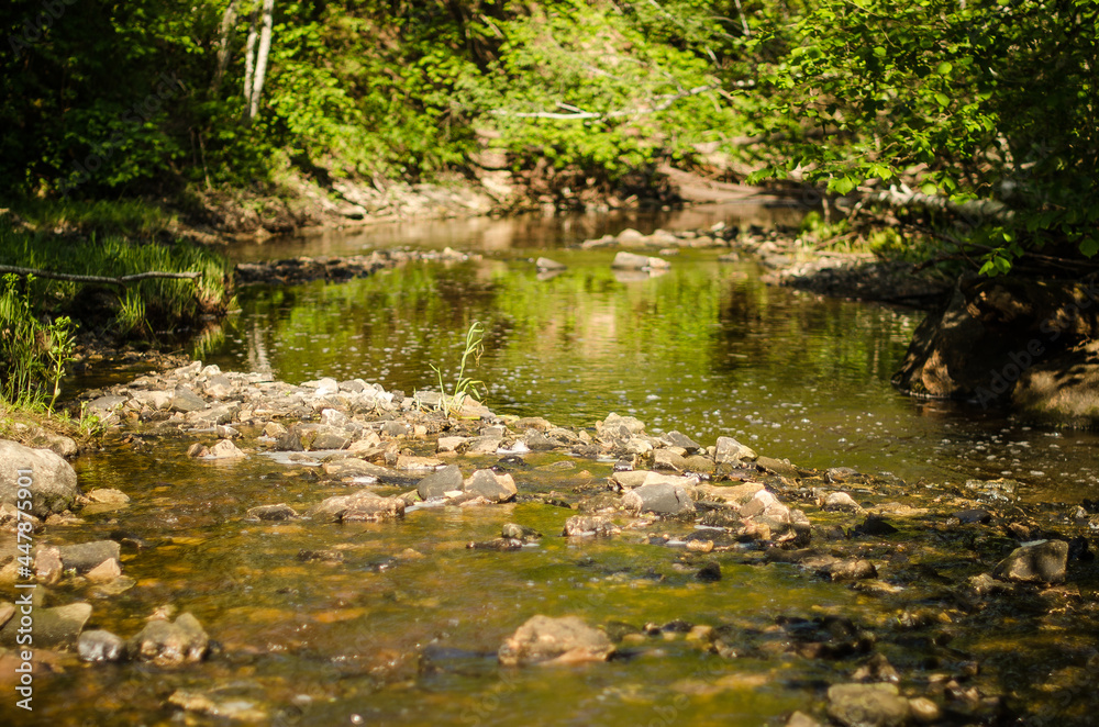 Shallow, rocky river Riezupe on a sunny spring day. Shallow, rocky river Riezupe on a sunny spring day.