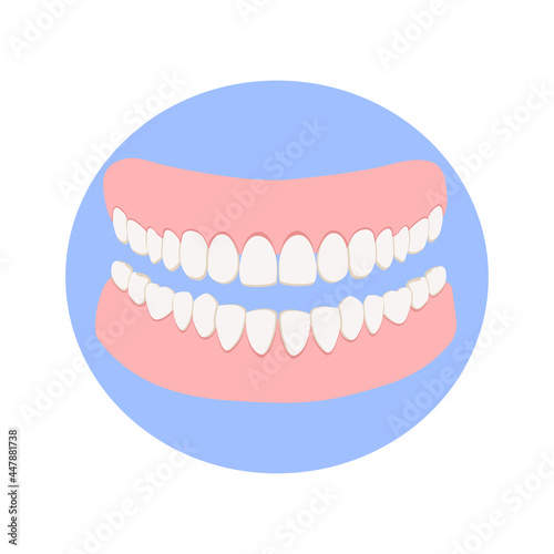 Gums with white teeth or dentures on the blue background, denture icon. Dental prosthesis, tooth orthopedics sign, teeth image, icon dental. Vector illustration in flat style.