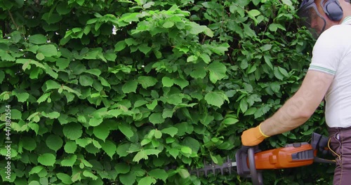 Competent gardener in brown overalls and protective gloves using gas powered clipper for pruning hedge. Concept of people and landscaping. 
