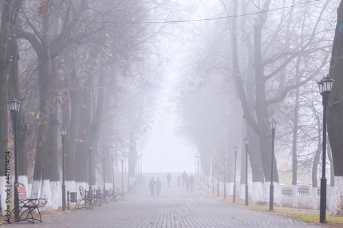 Park alley in the fog