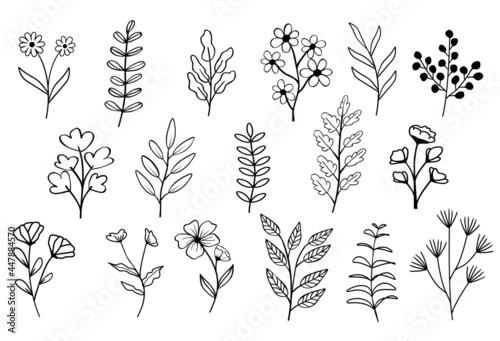 Collection of flower herbs natural leaves. Decorative beauty elegant vector illustration for hand drawing design.