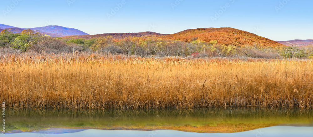 Autumn landscape-panorama. View from a wild field on the spurs of Sikhote-Alin. October landscape near the old bayouPrimorsky Krai, far East, Russia