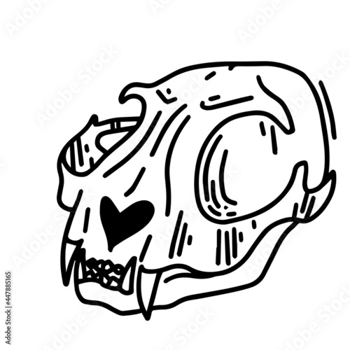 Skull of a cat. Halloween clipart. A tool for the ritual. Occult witchcraft.