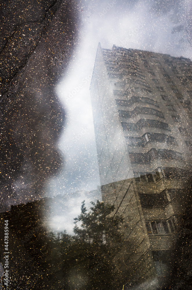 Reflection of a building and a flying bird in a puddle on the asphalt