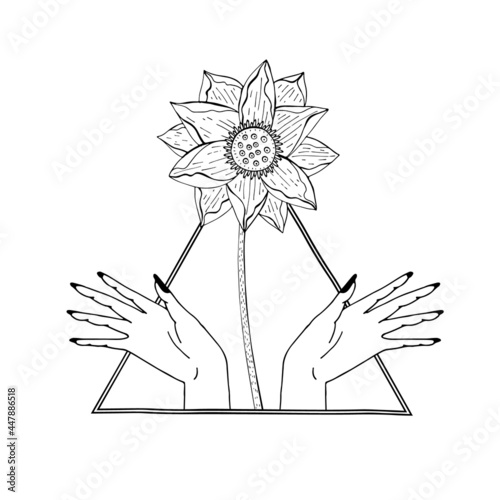 Vintage Mystic hands and lotus flower inside triangle Illustration