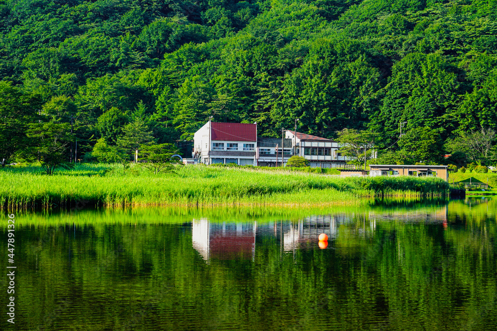 Obraz premium 榛名湖の湖畔 県立榛名公園（群馬県高崎市）