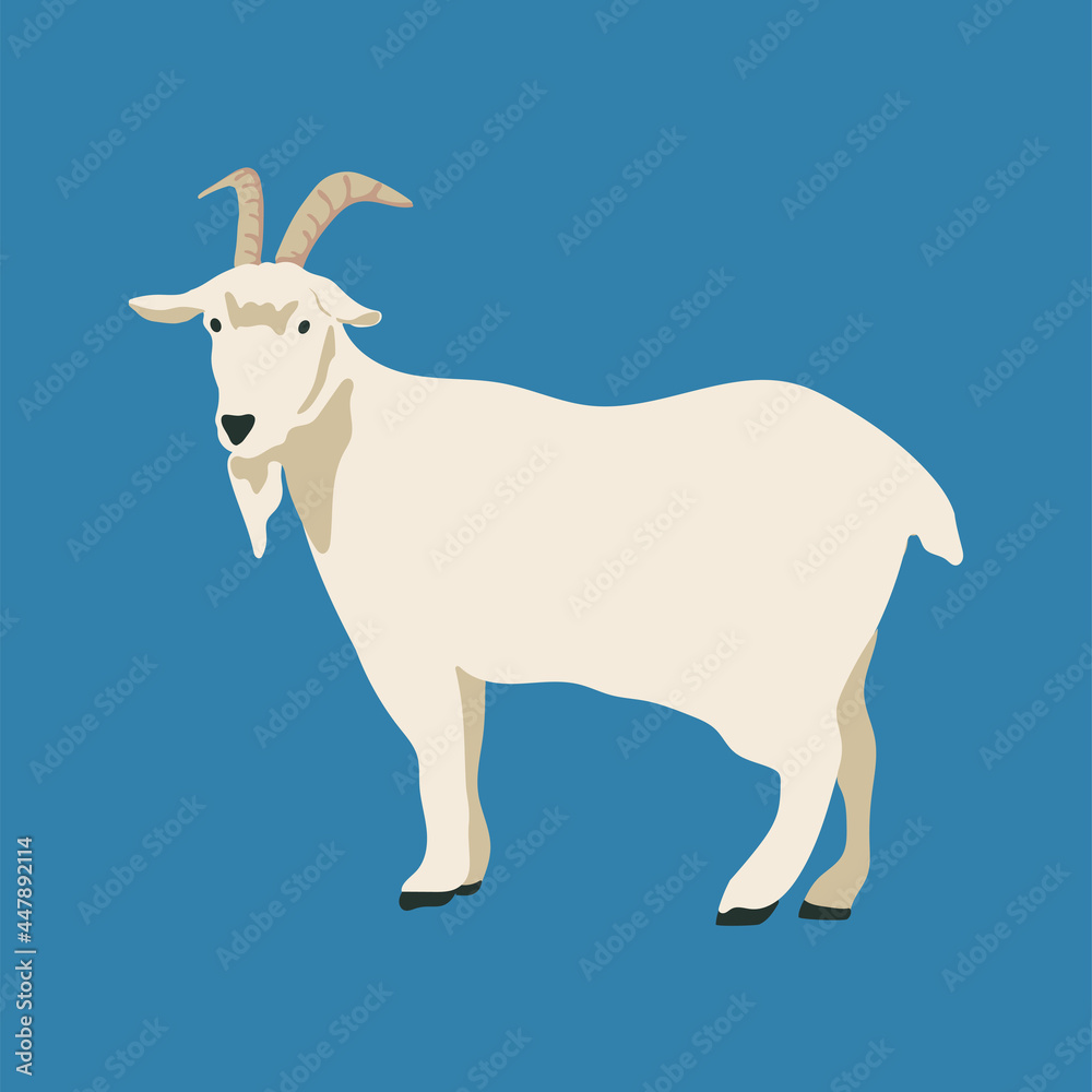 Goat vector hand drawn illustration in flat cartoon style.