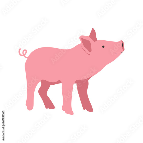 Pig vector hand drawn illustration in cartoon flat style. Isolated on white background.