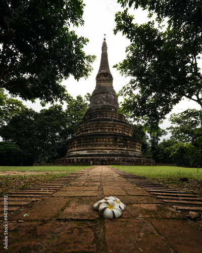 wat umong temple photo